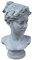 stoneandstyle Steinskulptur Büste Aphrodíte Frau frostfest Steinfigur