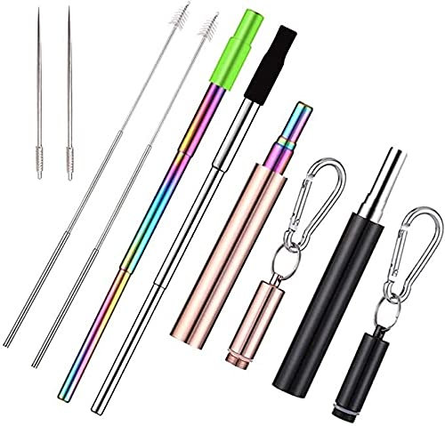 Sparrow Angel Paille INOX Pailles de Boisson réutilisables télescopiques, 2 Pack en Acier Inoxydable Pliant de Paille de Paille de Paille Portable