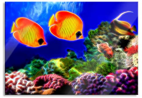 Pixxprint Glasbild, Wandbild aus Echtglas, Fische Korallenriff, 100x70 cm, inkl. Aufhängung und Abstandshalter