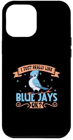 iPhone 13 Pro Max I just really like my Blue Jay Case