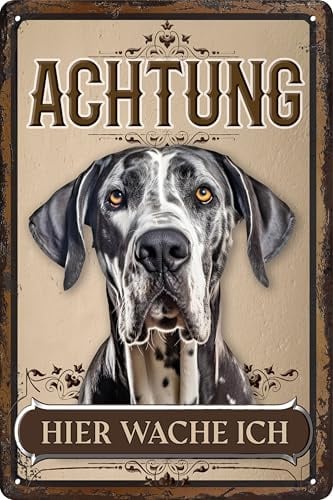 30 x 20 cm wetterfestes Blechschild, Warnhinweis, Torschild, Achtung, hier Wache ich! Warnung vor dem Hund (Deutsche Dogge 2)