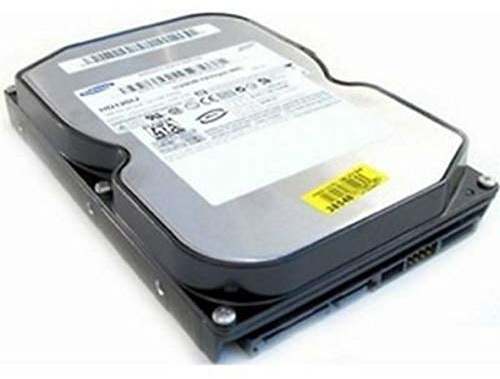 IBM 200 GB SATA II SP2004C interne Festplatte