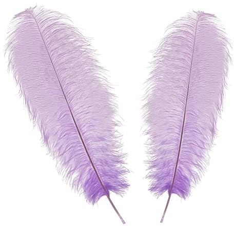 WedDecor Extra Large Light Lilac Natural Ostrich Feathers 19-23 (50-60cm) Long for Wedding Centerpieces, Home, Decorating Costumes, Embellishment, Art & Craft, Parties (Pack of 10)