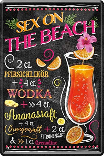 WOGEKA ART Retro Blechschild - Sex on The Beach Wodka Cocktail - witziger Spruch als Geschenk-Idee zum Geburtstag Weihnachten zur Dekoration 20x30 cm Vintage-Design aus Metall 8