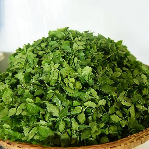 50 Stücke Jiaogulan Pflanze Samen, Balkon Kräutergarten, Wintergemüse Pflanzen Kaufen (Gynostemma Pentaphyllum) Kräutergarten Indoor, Gemüsesamen & -Pflanzen Indoor Kräutergarten Saatgut