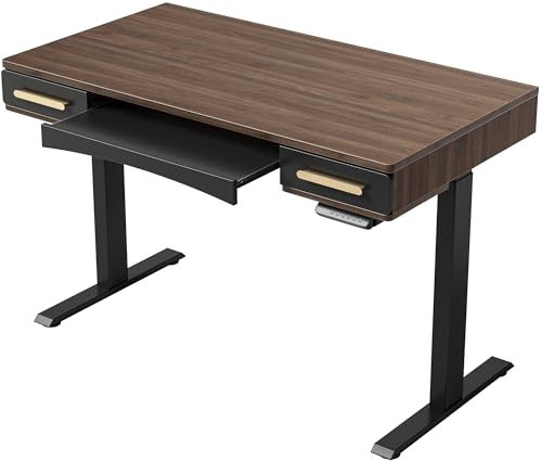 FEZIBO Whole Piece Height Adjustable Electric Standing Desk, with Three Storage Drawers, Sit Stand Home Office Desk, 120 * 60cm, Mid Century Style