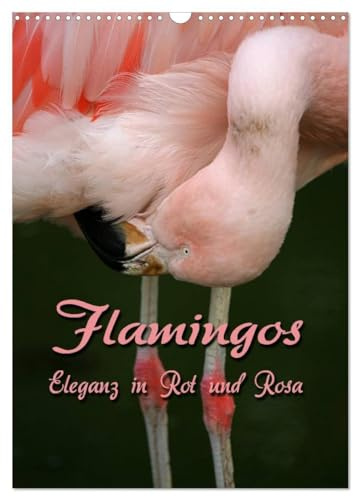 Flamingos - Eleganz in Rot und Rosa (Wandkalender 2026 DIN A3 hoch), CALVENDO Monatskalender: Auf Augenhöhe mit Flamingos (CALVENDO Tiere)