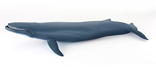 Papo - Große Figur - Wal, Meeresriese, Spielzeug für Kinder ab 3 Jahren - Meerestiere - 38.50 cm x 17.00cm - Erforschung der Ozeane und Sensibilisierung für das Leben im Meer