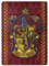 Northwest Harry Potter Silk Touch Überwurfdecke, 116,8 x 152,4 cm, karminrotes Siegel