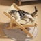 Ultimate 2-in-1 Cat Scratching Chair & Lounge Bed - 4 Levels Adjustable, Pet Bed Sofa for Furniture Protection - Cat Scratcher Bowl & Kitty Training Toy