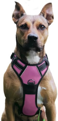 No Pull Hundegeschirr, Verstellbar Atmungsaktiv Reflektierend Weich Gepolstert Hunde Geschirr, Brustgeschirr für Hunde (Rosa, L)