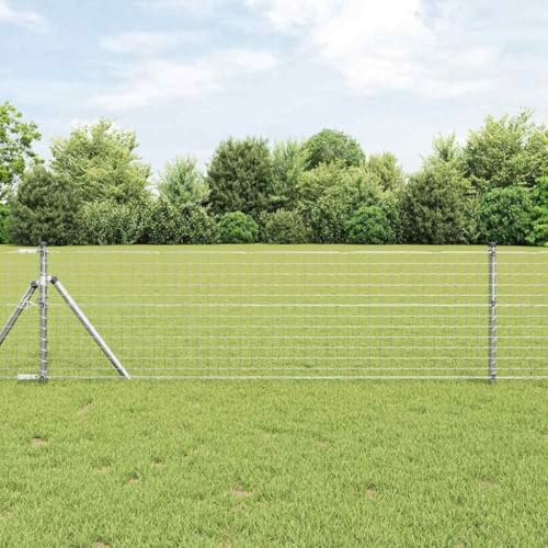 Euro Fence 0.4 x 10 m, PVC-Coated Iron, Robust Garden Gate, Weatherproof Privacy Screen for Garden, Patio, Lawn