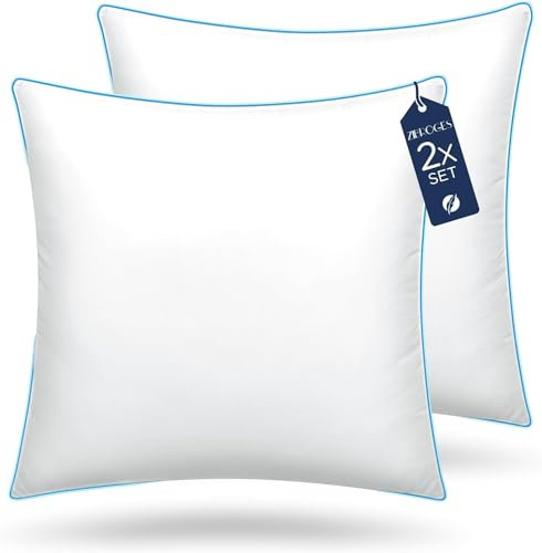 zibroges DP01 Lot de 2 oreillers de lit, couvre-lit 60 x 60 cm, côté bleu ciel