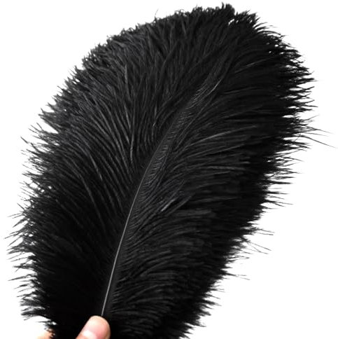 30 pièces de plumes d'autruche, Plumes Grand Pour la maison Décoration de mariage, Bricolage, Plumes d'autruche Vase (Noir)