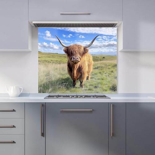 Warren Reed - Designer Premium Highland Cow In Summer Kitchen Splashback 6mm Toughened Glass Kitchen Splashback – Heat Resistant Splashback for Kitchens, Perfect for Cookers and Hobs, Polished Edges