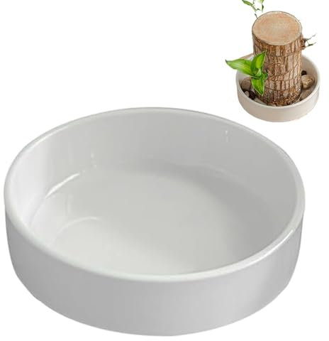 Bandeja decorativa de madera brasileña – Platillo decorativo de madera brasileña natural para plantas | Bandeja de mesa multiusos para dormitorio, cocina, mesa de café, base resistente al agua para