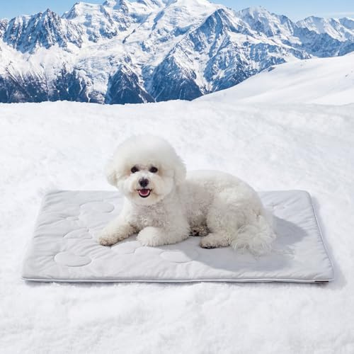 ZOMISIA Kühldecke für Hunde, Q-MAX>0.4 Kühlmatte, 89 x 64 cm, Grau | Sommer Selbstkühlend, Kleine Hunde, Waschbar Hundekühlmatte, Graue Kühlende Decke, Für Sofa Hundebett, Zuhause & Unterwegs