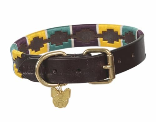 Shires Digby & Fox Drover Polo Dog Collar Yellow/Dark Green/Purple Medium