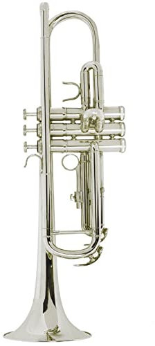 Messing Trompeten B-Anfänger-Trompete Brass Band Vergoldeter Pflegeset-Koffer (Color : Silver)