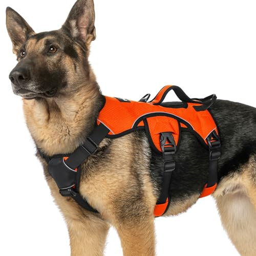 rabbitgoo Ausbruchsichere Hundegeschirr Grosse Hunde mit Griff, Anti Zug Sicherheitsgeschirr Hund Atmungsaktiv, Verstellbare Brustgeschirr, Gepolstertem Hundegeschirr Groß, Panikgeschirr, Orange XL