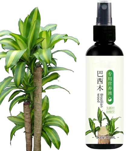 Wlikmjg Engrais Pour D'intérieur En Bois Brésilien, Engrais Pour En Bois Brésilien, Engrais Liquide Pour Bambou Porte-bonheur, Solution Nutritive Hydroponique