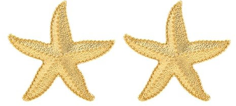 FDEETY Ohrringe Damen Legierung Große Seestern Ohrstecker Seestern Tropfen Ohrringe Boho Statement Exquisite Maritime Ohrringe Hypoallergene Modeschmuck für Frauen und Mädchen