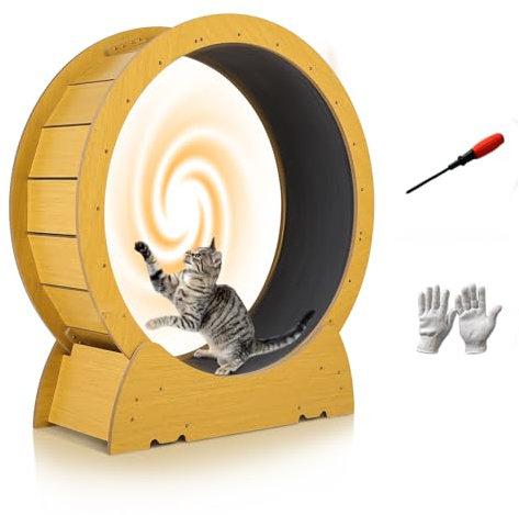 Katzenlaufrad Großes Laufrad für Katzen 90cm, Katzenlaufband für Hauskatzen, Katzenlaufrad mit abnehmbarem Teppich zum Laufen/Gehen/Trainieren, geeignet für die meisten Katzen bis 5 kg