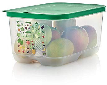 TUPPERWARE PrimaKlima KlimaOase 29981 Réfrigérateur haut Vert 4,4 l