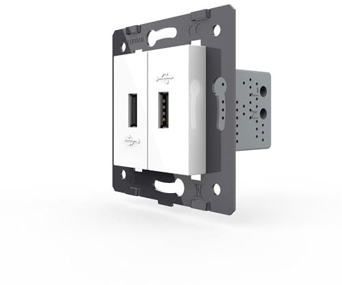 Livolo - Interruptor de luz táctil de cristal, interruptor inalámbrico, enchufe, etc., color blanco (módulo: 2 enchufes USB VL-C7-2USB-11)