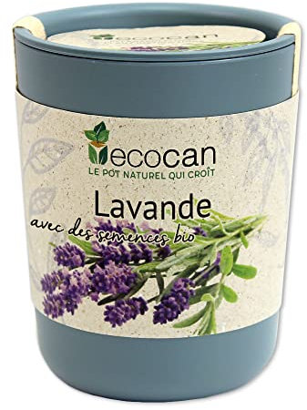 Feel Green Ecocan, Lavande Certifiées Bio, Idée Cadeau (100% Biodégradable), Grow-Your-Own/Kit Prêt-à-Pousser, Le Pot Écologique Qui Croît 9 x 7 cm, Produit en Autriche