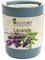 Feel Green Ecocan, Lavande Certifiées Bio, Idée Cadeau (100% Biodégradable), Grow-Your-Own/Kit Prêt-à-Pousser, Le Pot Écologique Qui Croît 9 x 7 cm, Produit en Autriche