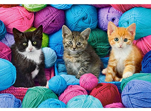 Puzzle 1000 pièces : Chatons dans le magasin de laine