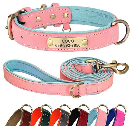 Didog Hundehalsband und Leine Set aus Leder für Kleine, Mittelgroße und Große Hunde - 1,5 m Weich Gepolsterte Hundeleine und Strapazierfähiges Halsband mit Gravur