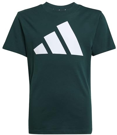 adidas Unisex Kinder Essentials Big Logo T-Shirt, Aurora ivy/White, 9-10 Years