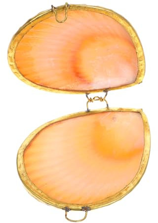 MOBUTOFU Boîte Boite de rangement coquille porte-bague porte-bijoux coquillage boite rangement caisse rangement jewelry box étuis de rangement pour bijoux étui à bijoux coquillage Métal