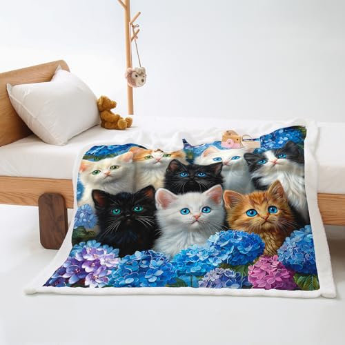 Kuscheldecke Grau Weiß Blau Decke Flanell Lammwolle Kuscheldecke Flauschig Fleecedecke Weich Decken Waschbar Felldecke Pflegeleicht Blanket Langlebig Sofadecke Flauschige 80x150cm
