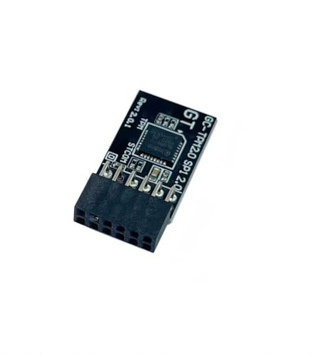 JINTAI TPM 2.0Modul TPM SPI 12PinModul für GigabyteMotherboard B460 HD3 (rev. 1.0) B460M H (rev. 1.0) B460M D2VX SI (rev. 1.0) B460M D2VX SI (rev. 1.1) Kompatibel mit GCTPM2.0 SPI 2. 0