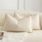Mandioo 2er Set Dekorativer Kissenbezug Woven Textured Sofakissen Dekokissen Kissenbezüge Super Soft Premium Simple Design Wurfkissenbezug Schlafzimmer Wohnzimmer Beige 30x50cm
