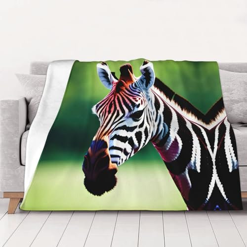 Zebra- und Giraffendecke, Sofa-Überwurf, Bettdecke, Queen-Size-Größe, weich, leicht, Plüsch, warm, gemütlich, Luxusdecke