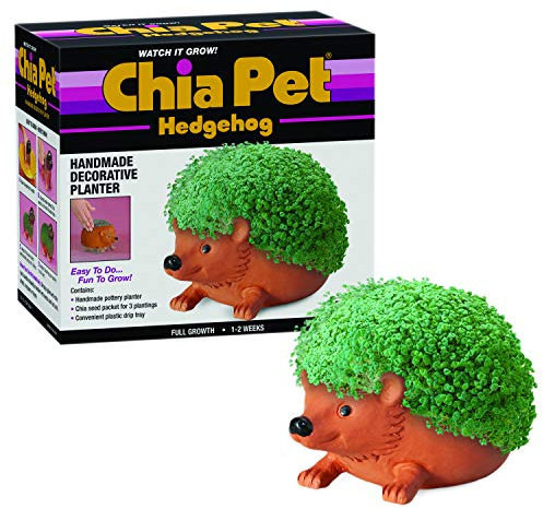 Chia Joseph Enterprises, Inc Hedgehog Pet Decorative Planter