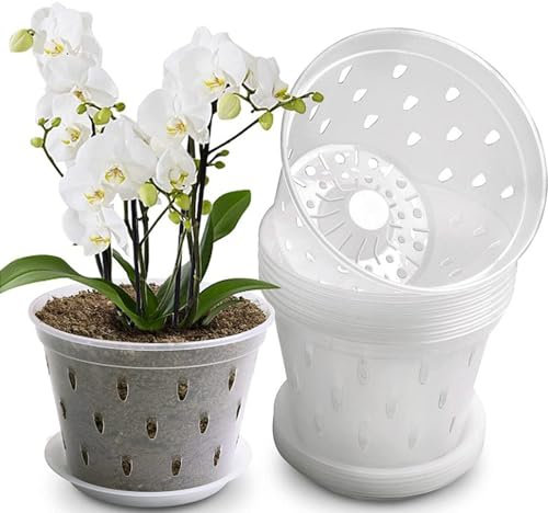 Altsuceser 2 macetas transparentes para orquídeas, macetas de plástico con agujeros y platillos, macetas de plástico transpirables con ranuras para orquídeas, macetas de jardinería, 17 cm