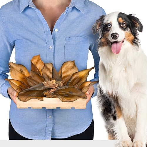 Rinderohren für Hunde, 10 Stück, natürlich getrocknet, proteinreich