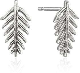 Ania Haie Tropic Thunder trendy Art. E011-03H