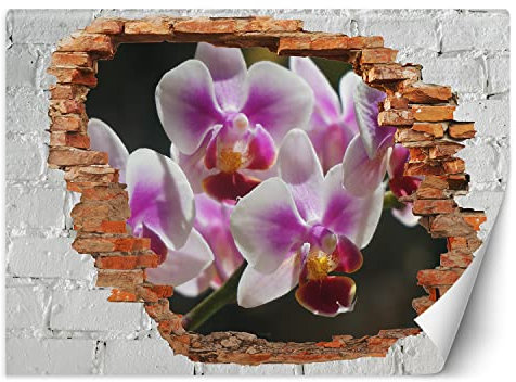 Feeby Fototapete Loch in der Wand Abstrakt Natur 200x140 cm Violett XXL Vlies Wandtapete Tapeten Wohnzimmer Schlafzimmer Büro Flur Moderne Design Wandbilder Wand Dekoration Orchidee