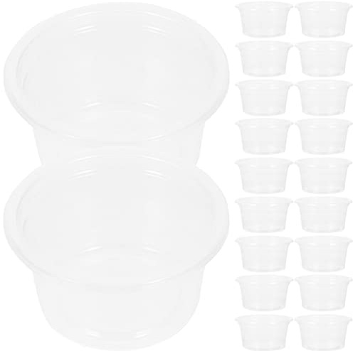 Ipetboom 20 Pièces Boîte à Eau pour Reptiles Tasses De Rebord De Gecko Nourriture Gecko Plat à Crête Gobelets Mangeoire pour Reptiles Reptiliens Équipement Nourrir Plastique