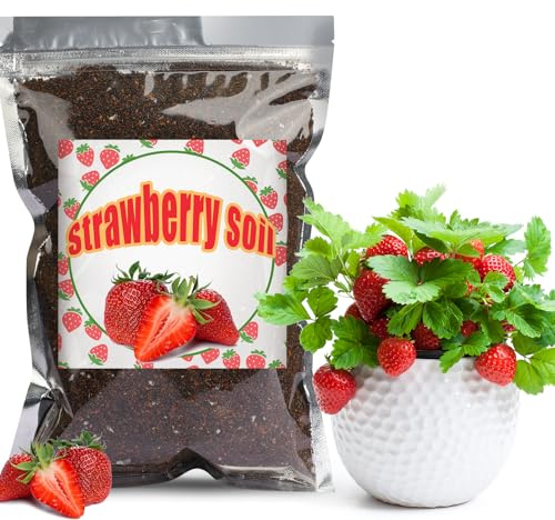 GOTVUGE Bio-Erdbeer-Erde Mischung 4L, Zimmerpflanzen-Blumenerde für alle getopften Erdbeerpflanzen, Gesunde Zimmerpflanzen drinnen züchten