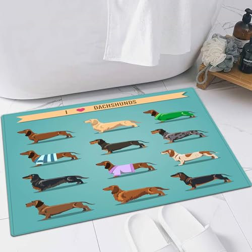 FSDGY Non-slip Barrier Mats Door Mat, Super Absorbent Entrance Rug Machine Washable Soft Floor Mat Carpet,Dachshund set,16x24in