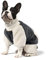 NAMSAN Hundepullover für Kleine Hunde Winter Hundepullover mit Taschendesign Warm Fleece Hundepulli für Kleine Hunde/Welpe-Grau, L