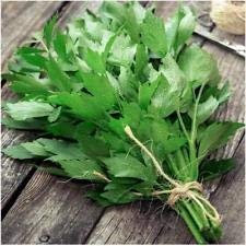 Pacchetto di 500 semi, levistico Semillas de Hierbas (Levisticum officinale)