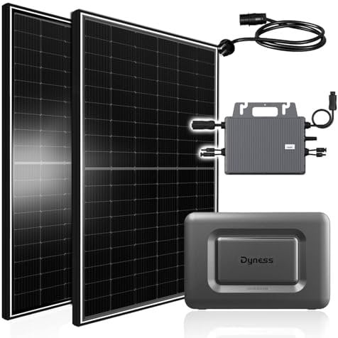 Balkonkraftwerk 1170W mit Speicher Dyness Junior Box 1600Wh, 800W TSUN Micro Wechselrichter, 2x450W Bifaziale Solarmodule, Solaranlage mit Stromspeicher Photovoltaik PV Anlage für Haus Balkon